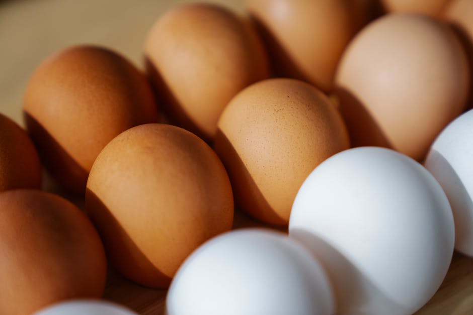 Eggs — a protein-rich source of nutrients for stronger nails